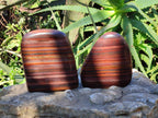 Polished Banded Tiger Iron Standing Free Forms x 4 From South Africa - Toprock Gemstones and Minerals 