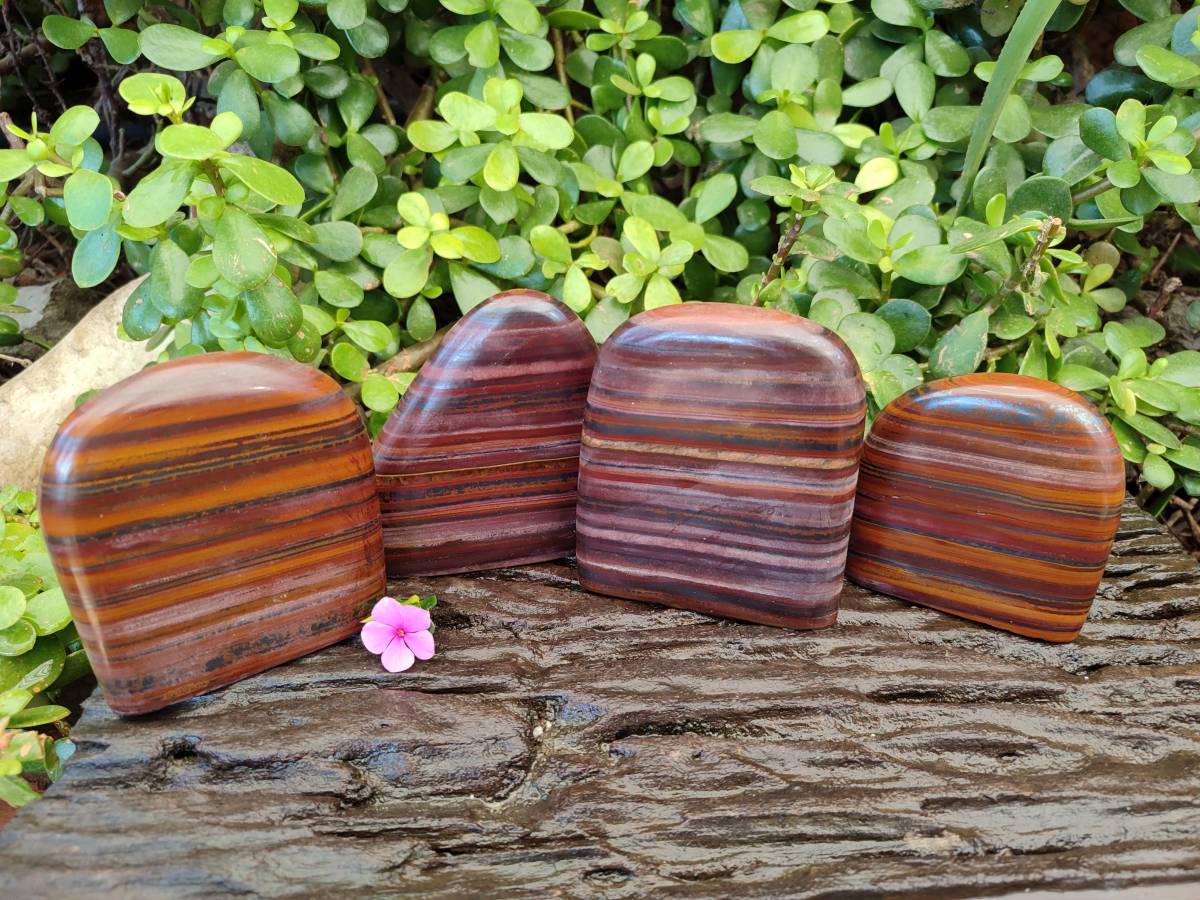Polished Banded Tiger Iron Standing Free Forms x 4 From South Africa - Toprock Gemstones and Minerals 