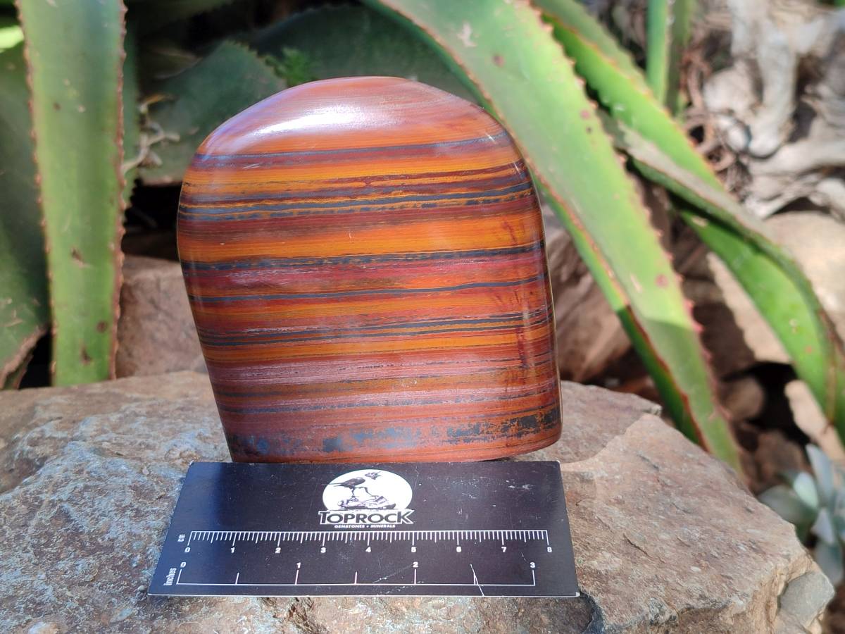Polished Banded Tiger Iron Standing Free Forms x 4 From South Africa - Toprock Gemstones and Minerals 