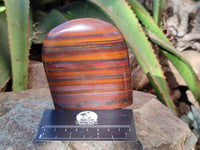 Polished Banded Tiger Iron Standing Free Forms x 4 From South Africa