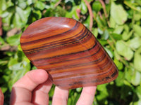 Polished Banded Tiger Iron Standing Free Forms x 4 From South Africa