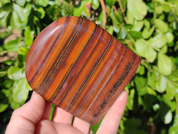 Polished Banded Tiger Iron Standing Free Forms x 4 From South Africa