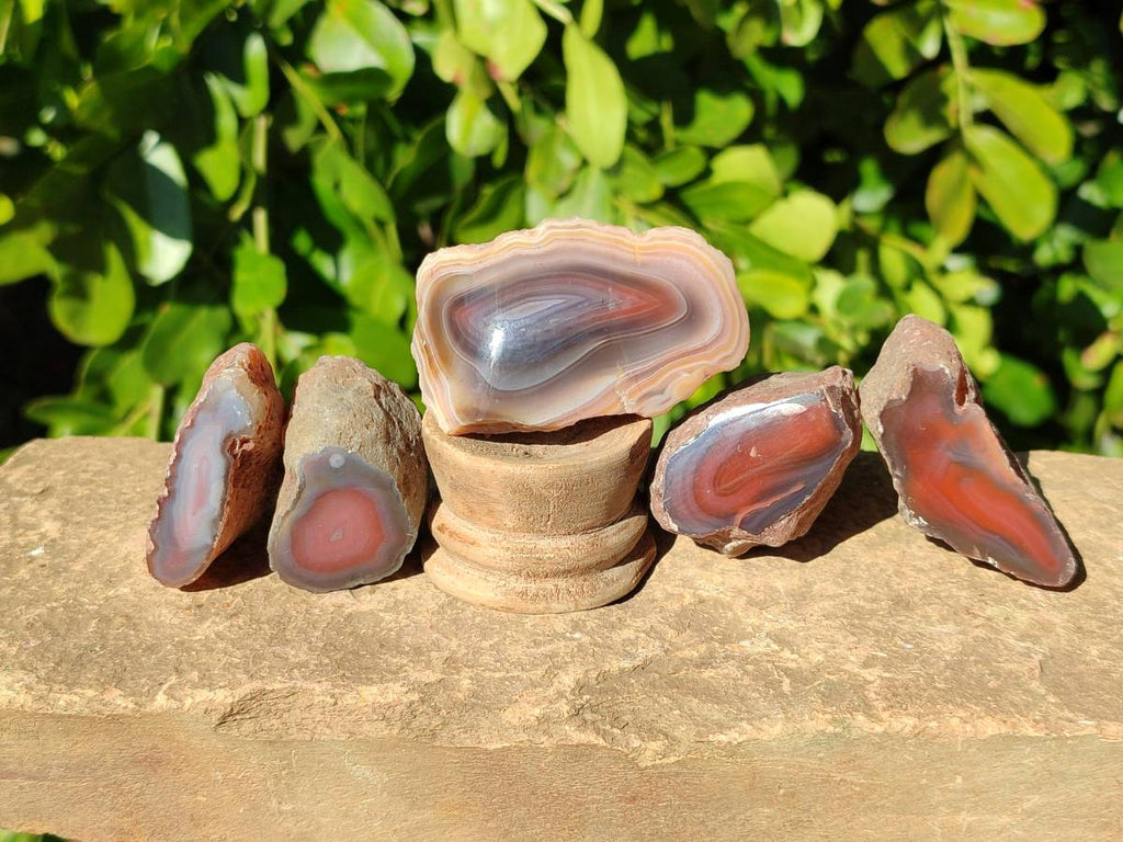 Polished On One Side Red Sashe River Agate Nodules x 28 From Zimbabwe - Toprock Gemstones and Minerals 