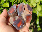 Polished On One Side Red Sashe River Agate Nodules x 28 From Zimbabwe - Toprock Gemstones and Minerals 