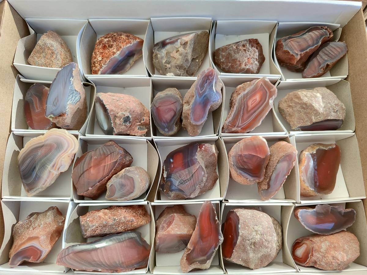 Polished On One Side Red Sashe River Agate Nodules x 28 From Zimbabwe - Toprock Gemstones and Minerals 