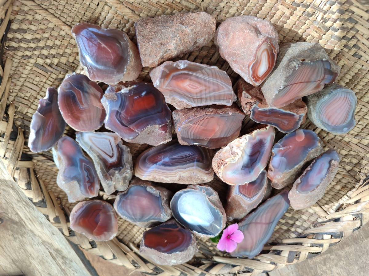 Polished On One Side Red Sashe River Agate Nodules x 28 From Zimbabwe - Toprock Gemstones and Minerals 