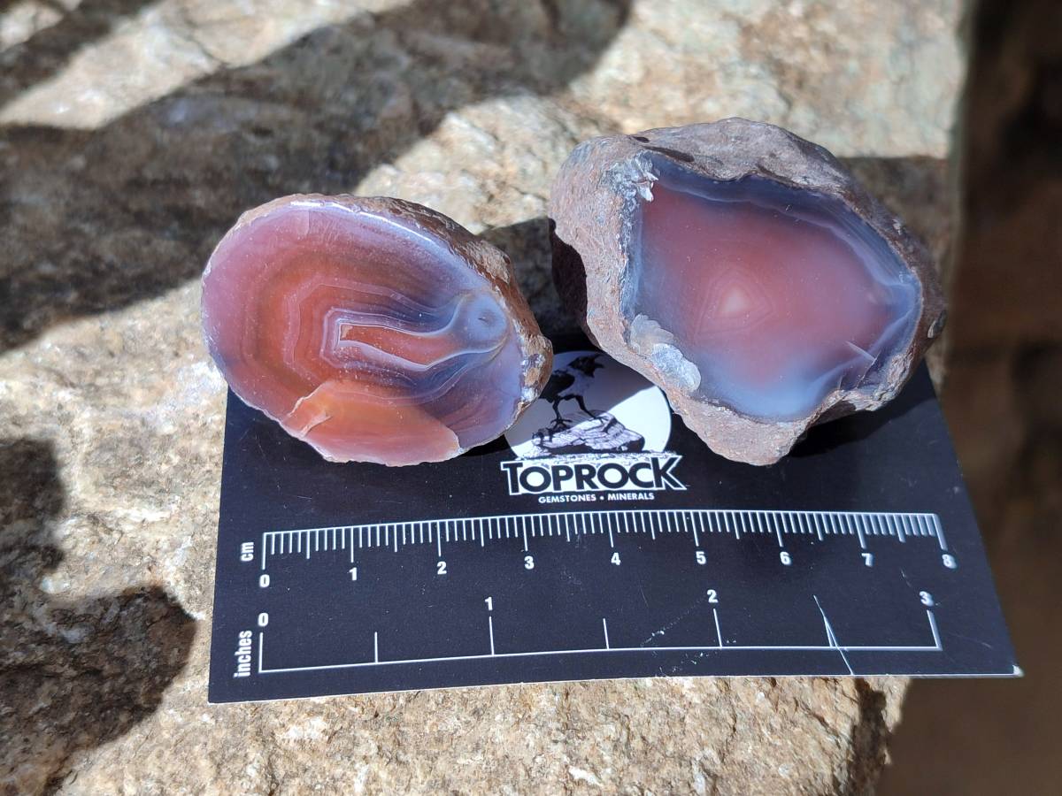 Polished On One Side Red Sashe River Agate Nodules x 28 From Zimbabwe - Toprock Gemstones and Minerals 