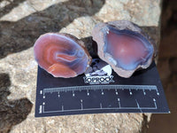 Polished On One Side Red Sashe River Agate Nodules x 28 From Zimbabwe - Toprock Gemstones and Minerals 