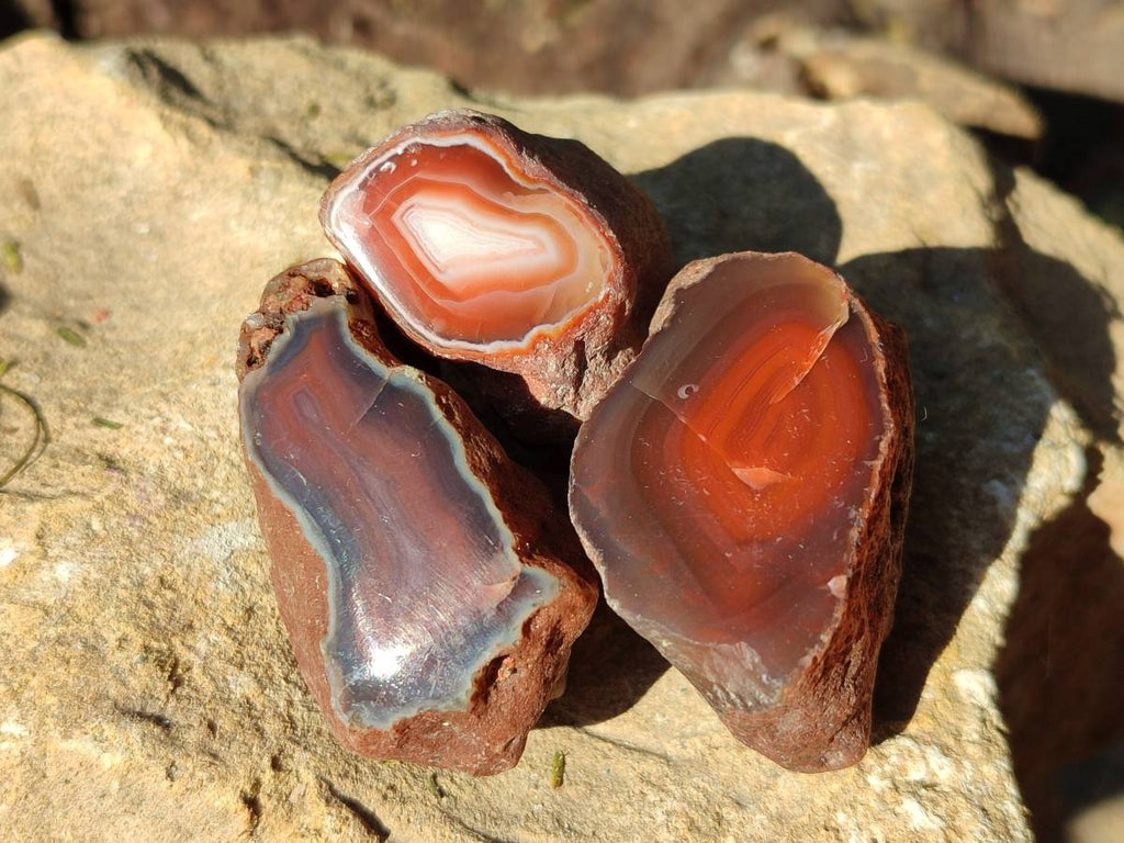 Polished On One Side Red Sashe River Agate Nodules x 28 From Zimbabwe - Toprock Gemstones and Minerals 