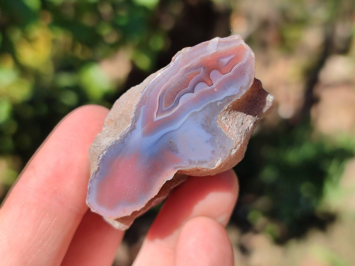 Polished On One Side Red Sashe River Agate Nodules x 28 From Zimbabwe - Toprock Gemstones and Minerals 