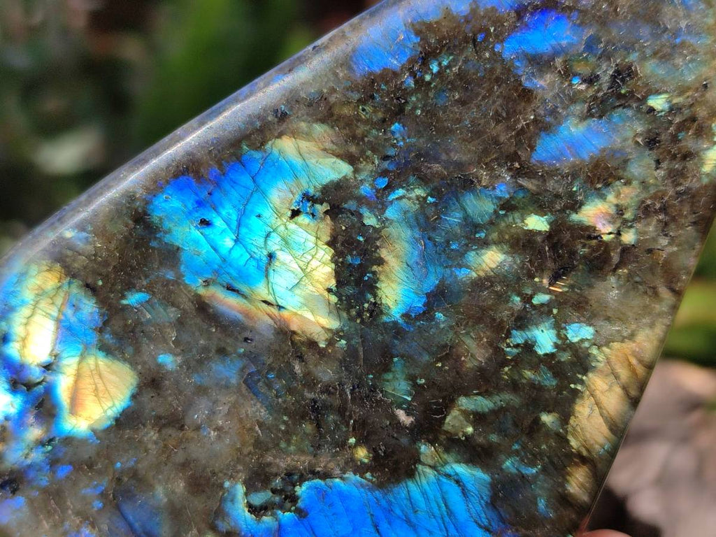 Polished Labradorite Standing Free Forms x 4 From Tulear, Madagascar - Toprock Gemstones and Minerals 