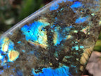 Polished Labradorite Standing Free Forms x 4 From Tulear, Madagascar - Toprock Gemstones and Minerals 