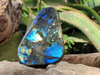 Polished Labradorite Standing Free Forms x 4 From Tulear, Madagascar - Toprock Gemstones and Minerals 