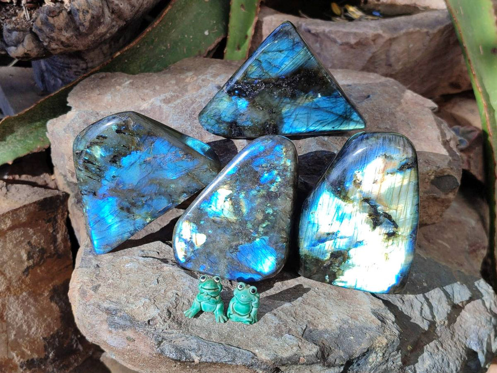 Polished Labradorite Standing Free Forms x 4 From Tulear, Madagascar - Toprock Gemstones and Minerals 