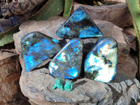 Polished Labradorite Standing Free Forms x 4 From Tulear, Madagascar - Toprock Gemstones and Minerals 
