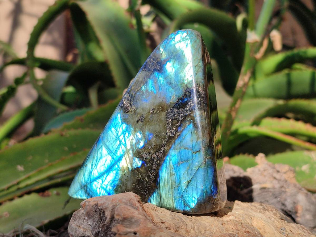Polished Labradorite Standing Free Forms x 4 From Tulear, Madagascar - Toprock Gemstones and Minerals 