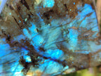 Polished Labradorite Standing Free Forms x 4 From Tulear, Madagascar - Toprock Gemstones and Minerals 