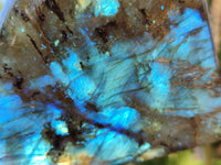 Polished Labradorite Standing Free Forms x 4 From Tulear, Madagascar - Toprock Gemstones and Minerals 