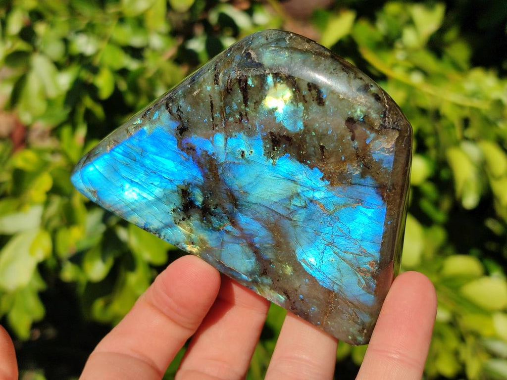 Polished Labradorite Standing Free Forms x 4 From Tulear, Madagascar - Toprock Gemstones and Minerals 