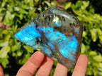 Polished Labradorite Standing Free Forms x 4 From Tulear, Madagascar - Toprock Gemstones and Minerals 