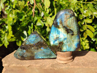 Polished Labradorite Standing Free Forms x 4 From Tulear, Madagascar - Toprock Gemstones and Minerals 