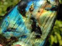 Polished Labradorite Standing Free Forms x 4 From Tulear, Madagascar - Toprock Gemstones and Minerals 