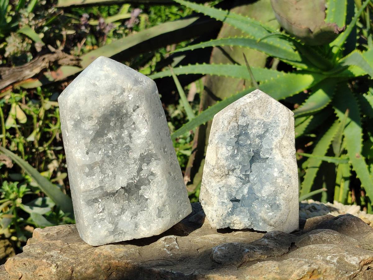 Polished Celestite Standing Free Forms x 2 From Sakoany, Madagascar - Toprock Gemstones and Minerals 