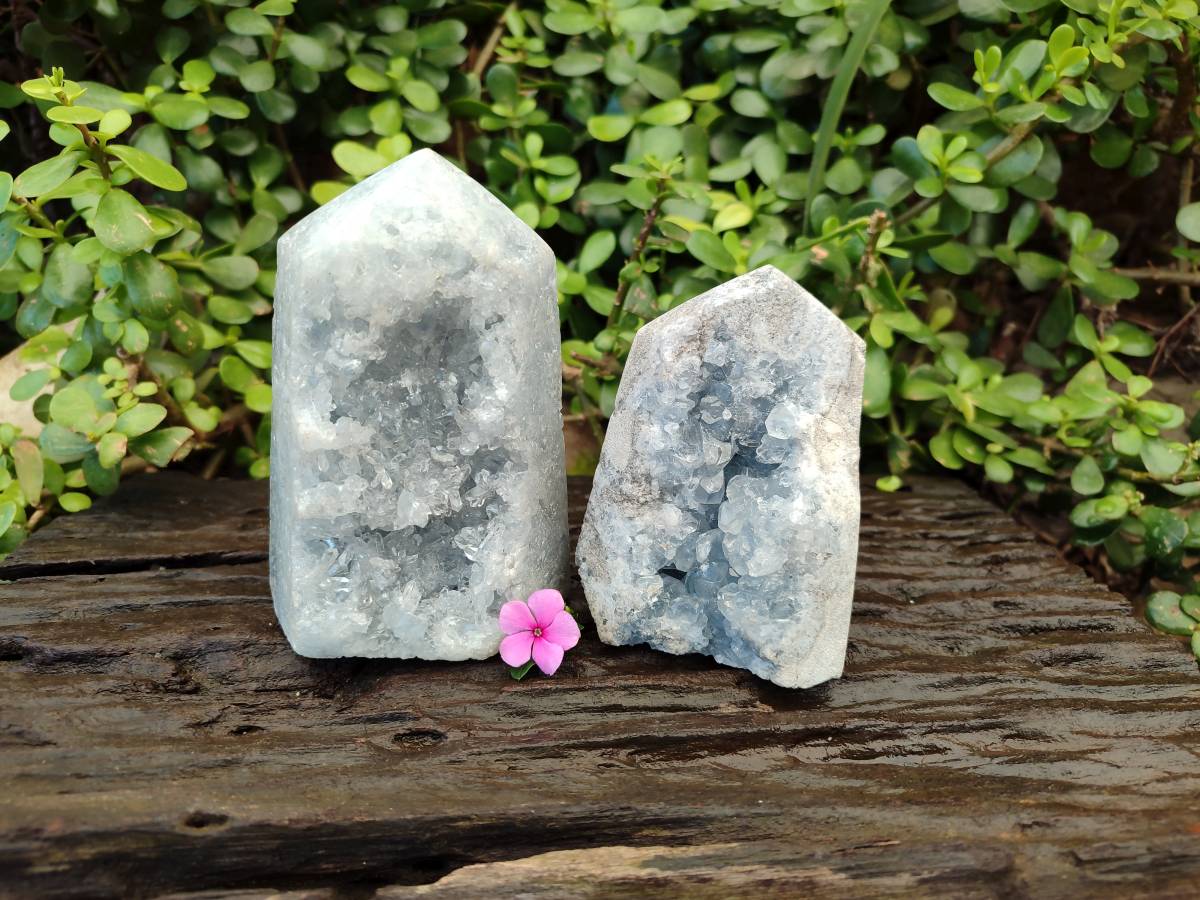 Polished Celestite Standing Free Forms x 2 From Sakoany, Madagascar - Toprock Gemstones and Minerals 