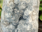 Polished Celestite Standing Free Forms x 2 From Sakoany, Madagascar - Toprock Gemstones and Minerals 