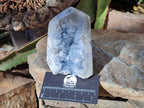 Polished Celestite Standing Free Forms x 2 From Sakoany, Madagascar - Toprock Gemstones and Minerals 