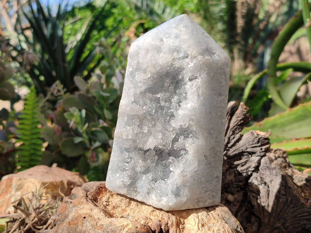 Polished Celestite Standing Free Forms x 2 From Sakoany, Madagascar - Toprock Gemstones and Minerals 