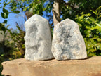 Polished Celestite Standing Free Forms x 2 From Sakoany, Madagascar - Toprock Gemstones and Minerals 