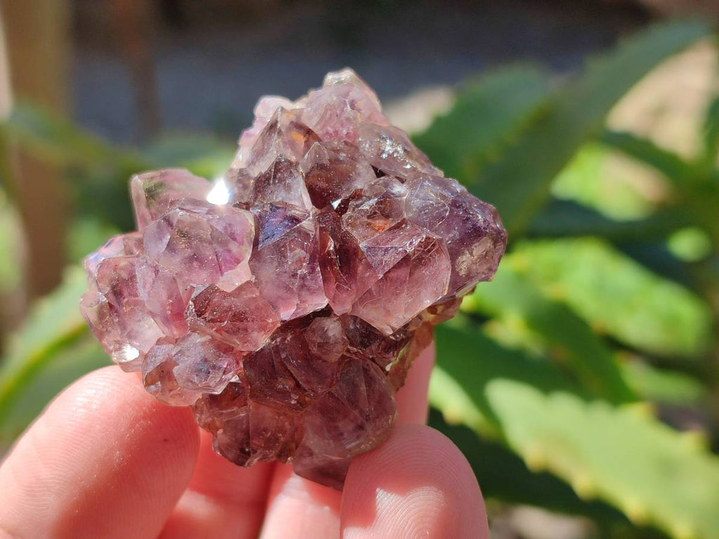 Natural Amethystos Amethyst Clusters x 35 From Kwaggafontein, South Africa - Toprock Gemstones and Minerals 