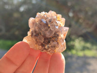 Natural Amethystos Amethyst Clusters x 35 From Kwaggafontein, South Africa