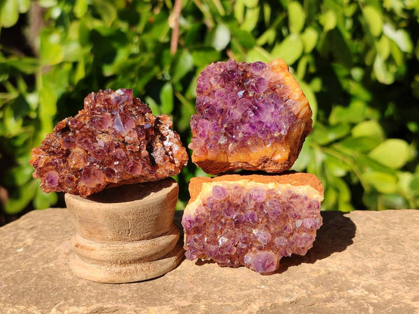 Natural Amethystos Amethyst Clusters x 35 From Kwaggafontein, South Africa