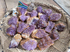 Natural Amethystos Amethyst Clusters x 35 From Kwaggafontein, South Africa - Toprock Gemstones and Minerals 