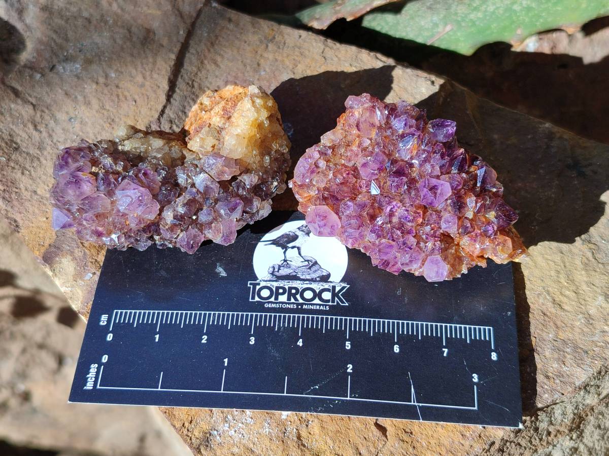 Natural Amethystos Amethyst Clusters x 35 From Kwaggafontein, South Africa - Toprock Gemstones and Minerals 