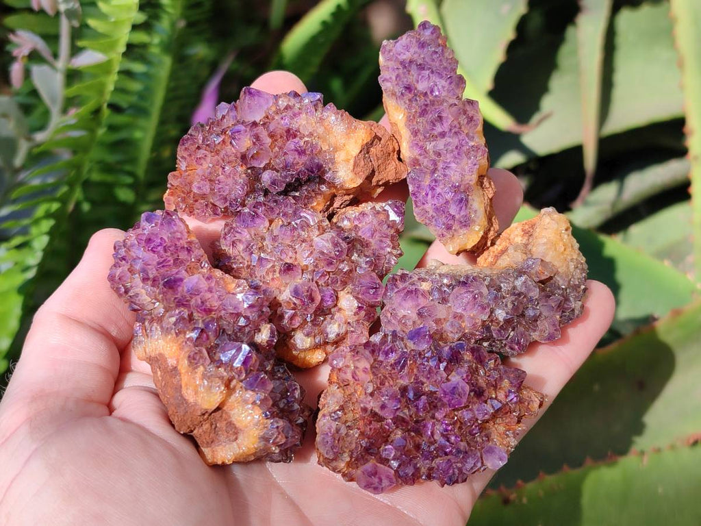 Natural Amethystos Amethyst Clusters x 35 From Kwaggafontein, South Africa - Toprock Gemstones and Minerals 