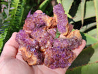 Natural Amethystos Amethyst Clusters x 35 From Kwaggafontein, South Africa - Toprock Gemstones and Minerals 