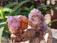 Natural Amethystos Amethyst Clusters x 35 From Kwaggafontein, South Africa