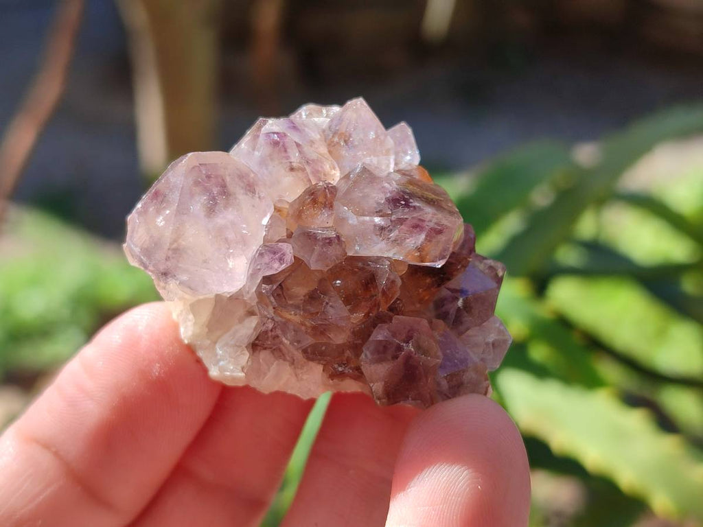 Natural Amethystos Amethyst Clusters x 35 From Kwaggafontein, South Africa - Toprock Gemstones and Minerals 