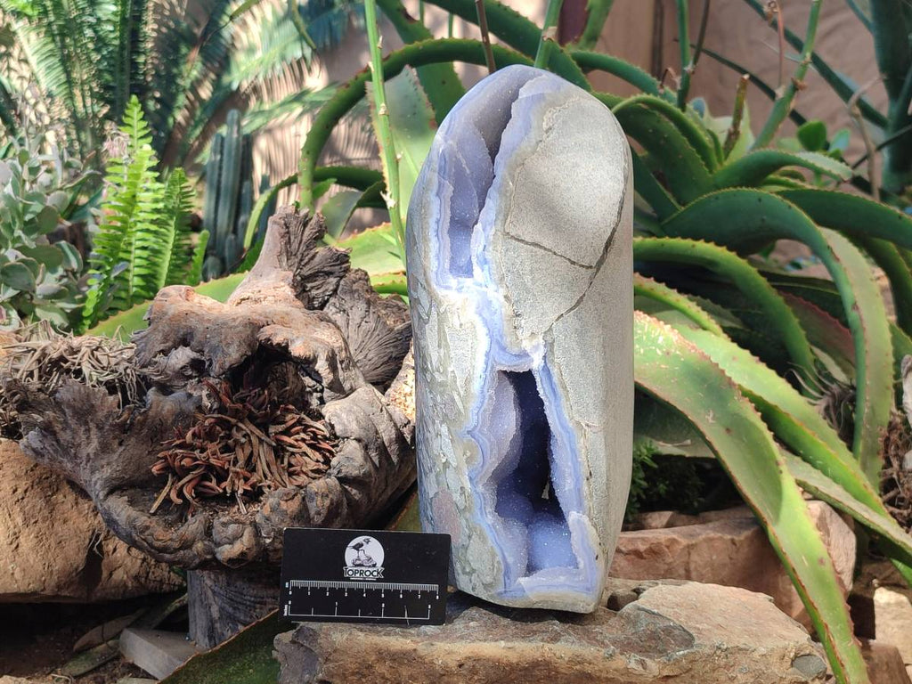 Polished Blue Lace Agate Standing Free Form x 1 From Malawi - Toprock Gemstones and Minerals 