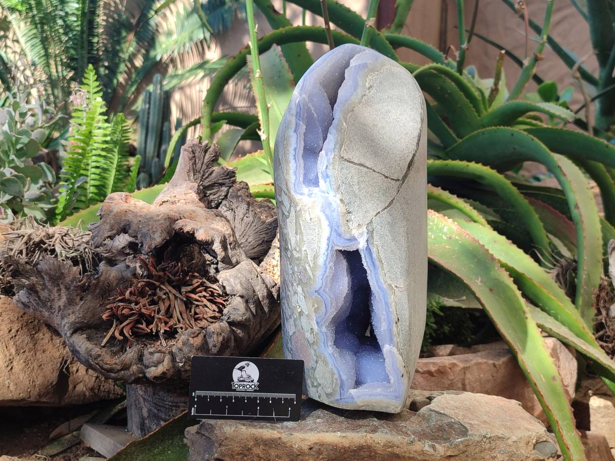 Polished Blue Lace Agate Standing Free Form x 1 From Malawi - Toprock Gemstones and Minerals 