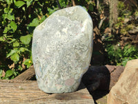 Polished Blue Lace Agate Standing Free Form x 1 From Malawi