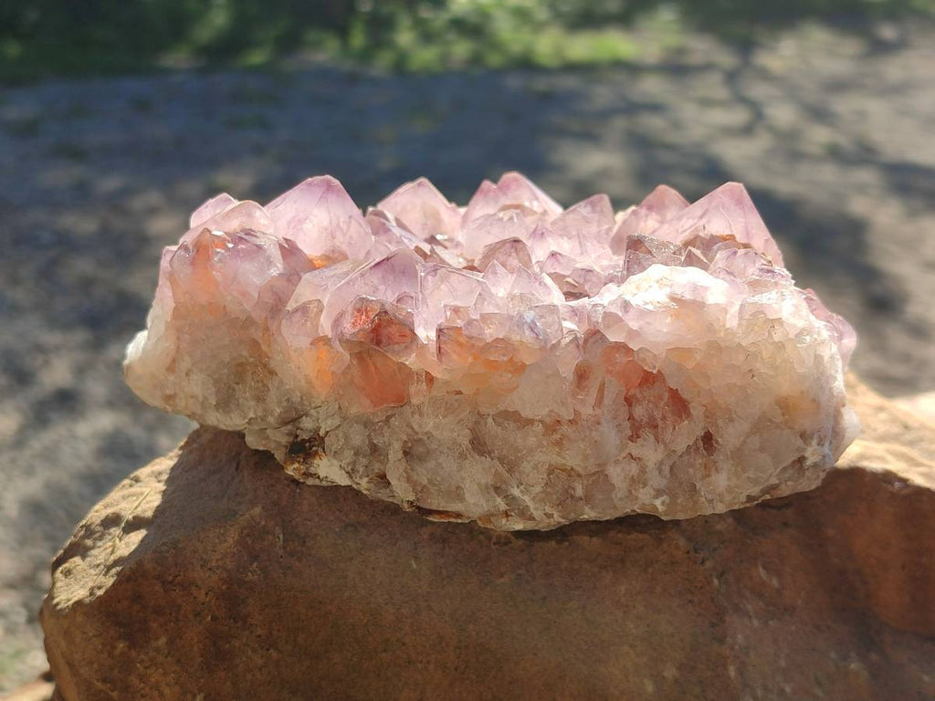 Natural Amethyst Spirit Quartz Clusters x 2 From Boekenhouthoek, South Africa - Toprock Gemstones and Minerals 