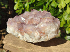 Natural Amethyst Spirit Quartz Clusters x 2 From Boekenhouthoek, South Africa - Toprock Gemstones and Minerals 