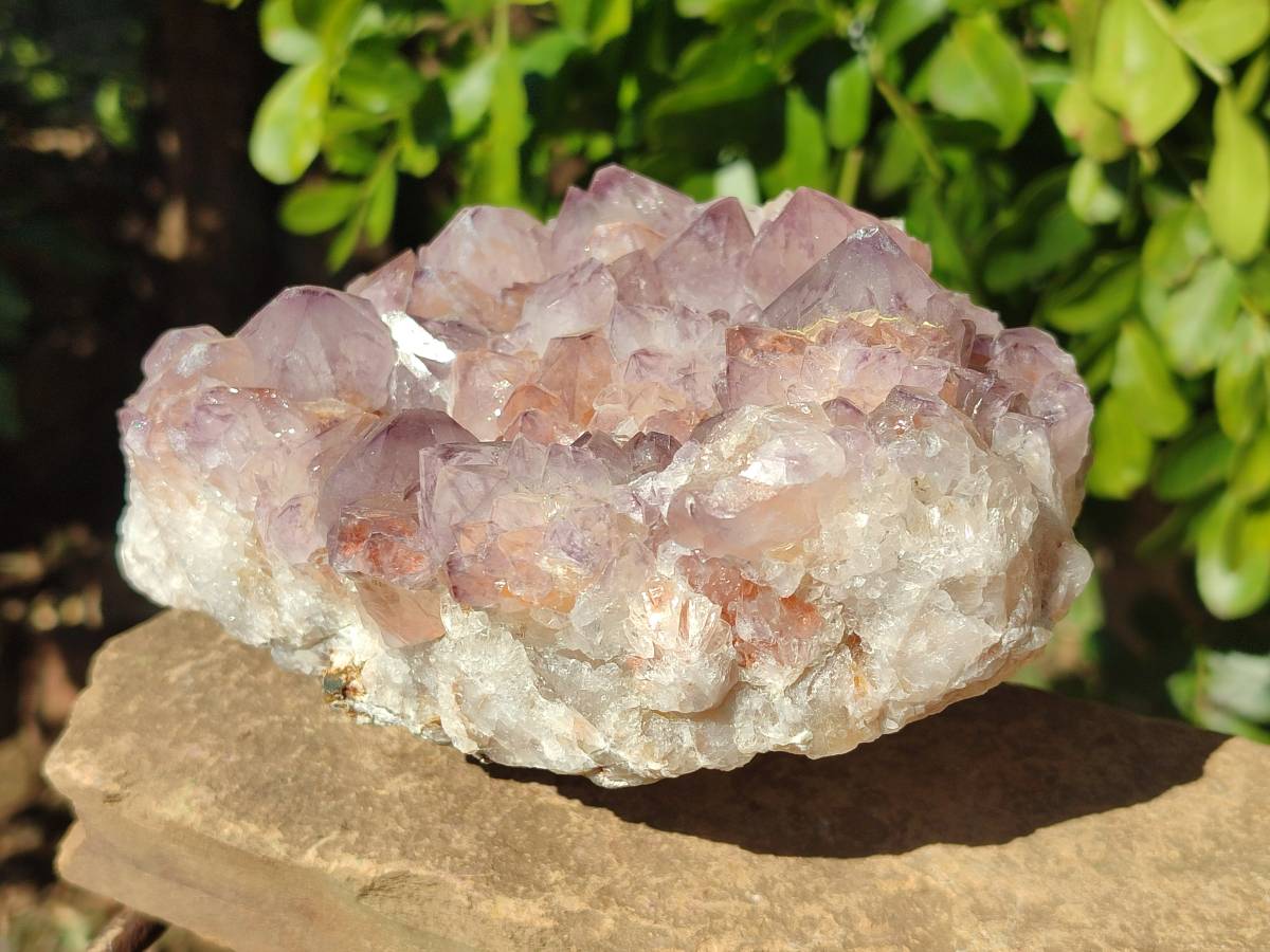 Natural Amethyst Spirit Quartz Clusters x 2 From Boekenhouthoek, South Africa - Toprock Gemstones and Minerals 