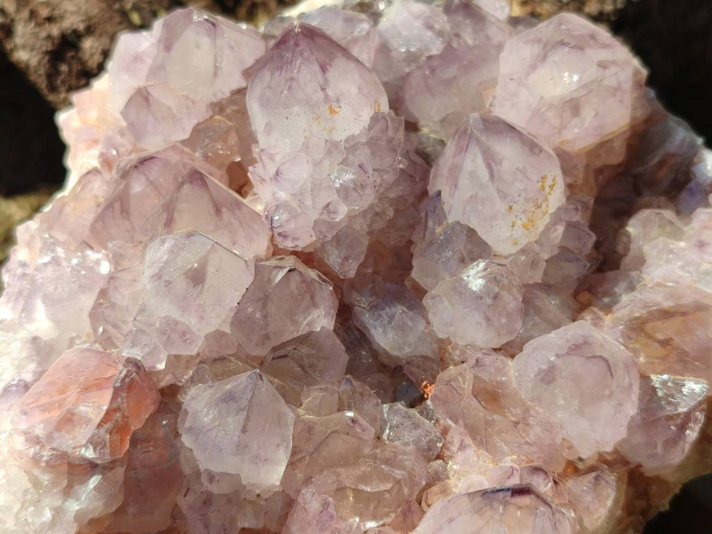 Natural Amethyst Spirit Quartz Clusters x 2 From Boekenhouthoek, South Africa - Toprock Gemstones and Minerals 
