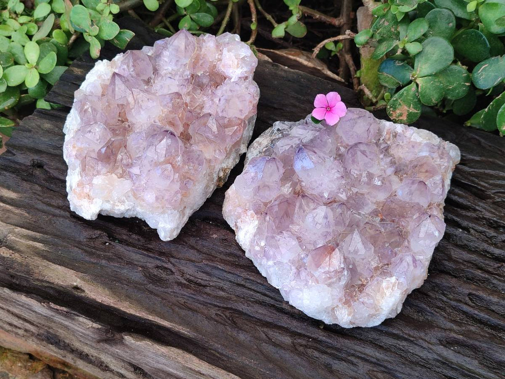 Natural Amethyst Spirit Quartz Clusters x 2 From Boekenhouthoek, South Africa - Toprock Gemstones and Minerals 