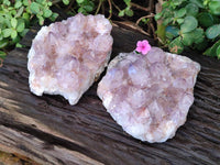 Natural Amethyst Spirit Quartz Clusters x 2 From Boekenhouthoek, South Africa